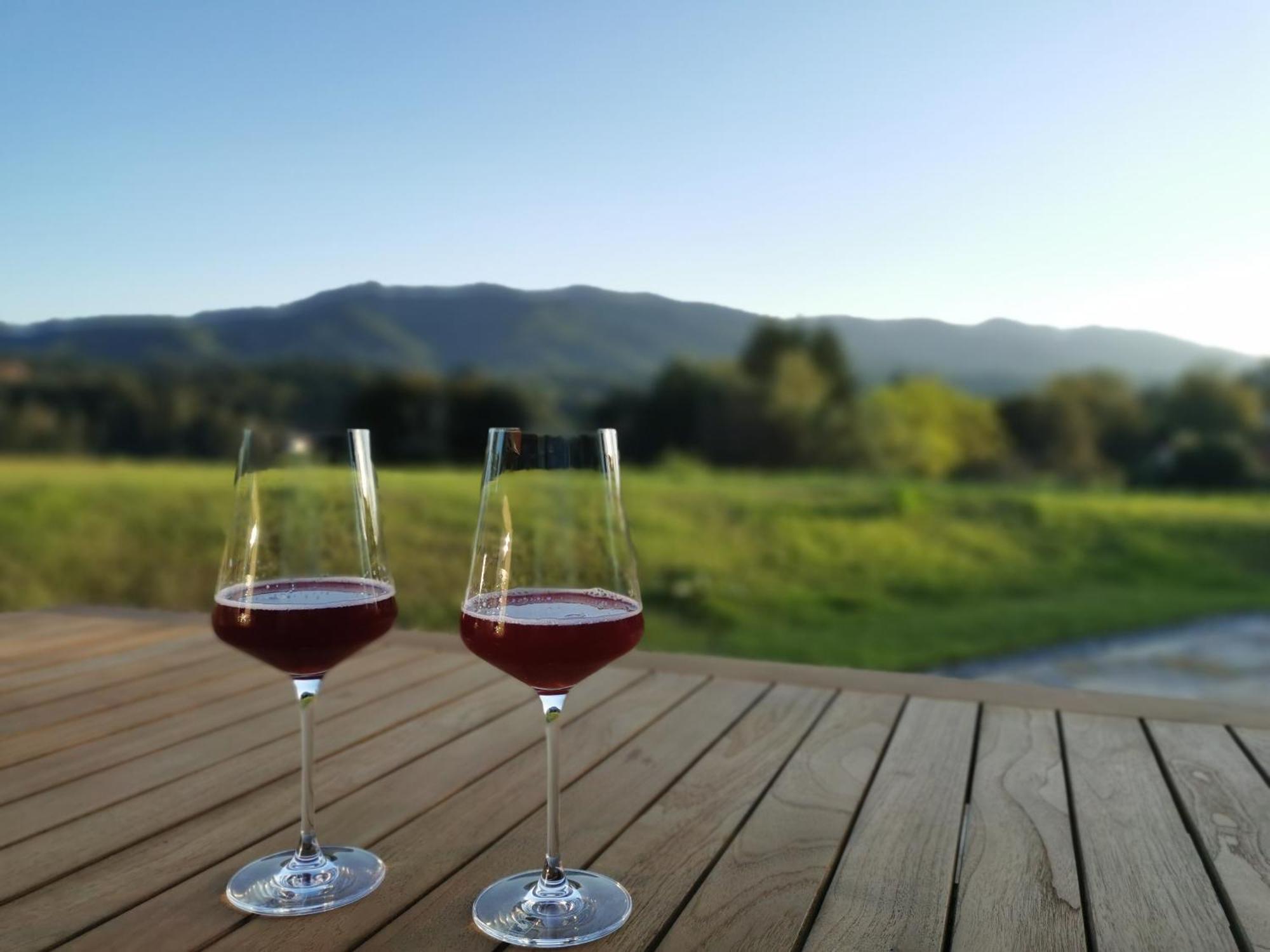 Traumhaftes Ferienhaus Am Lateinberg - 8455 Eibiswald Suedsteiermark Luaran gambar