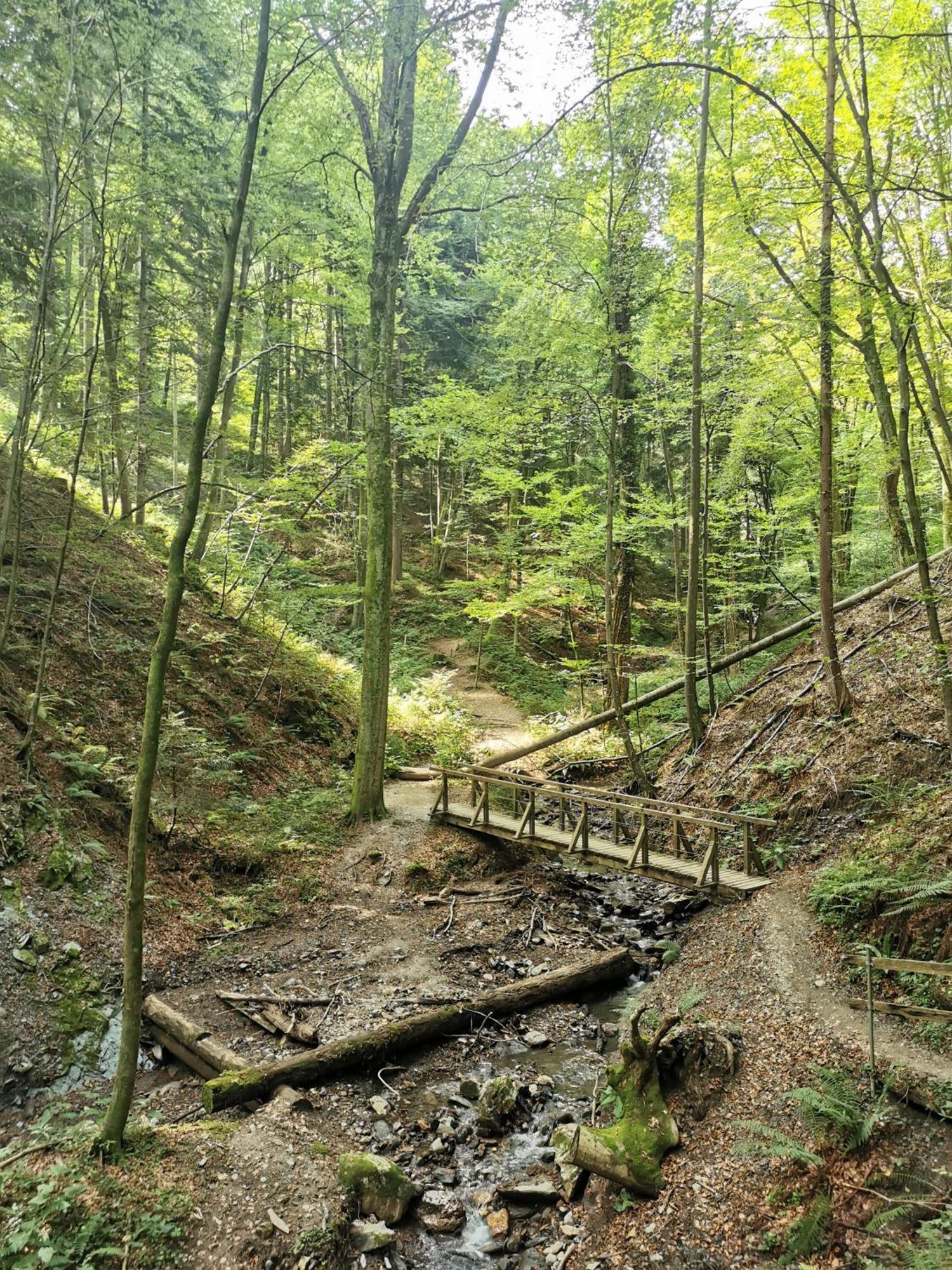 Traumhaftes Ferienhaus Am Lateinberg - 8455 Eibiswald Suedsteiermark Luaran gambar