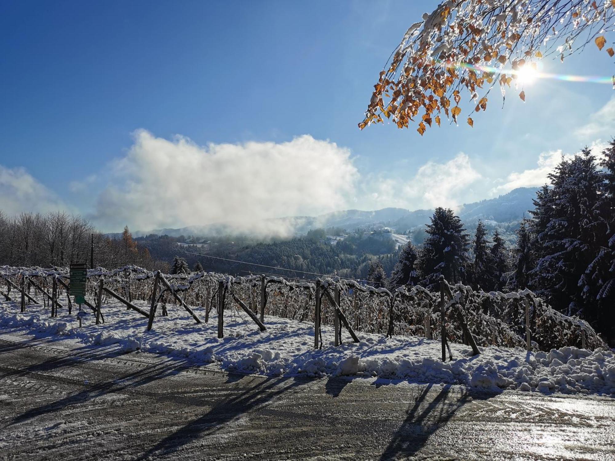 Traumhaftes Ferienhaus Am Lateinberg - 8455 Eibiswald Suedsteiermark Luaran gambar