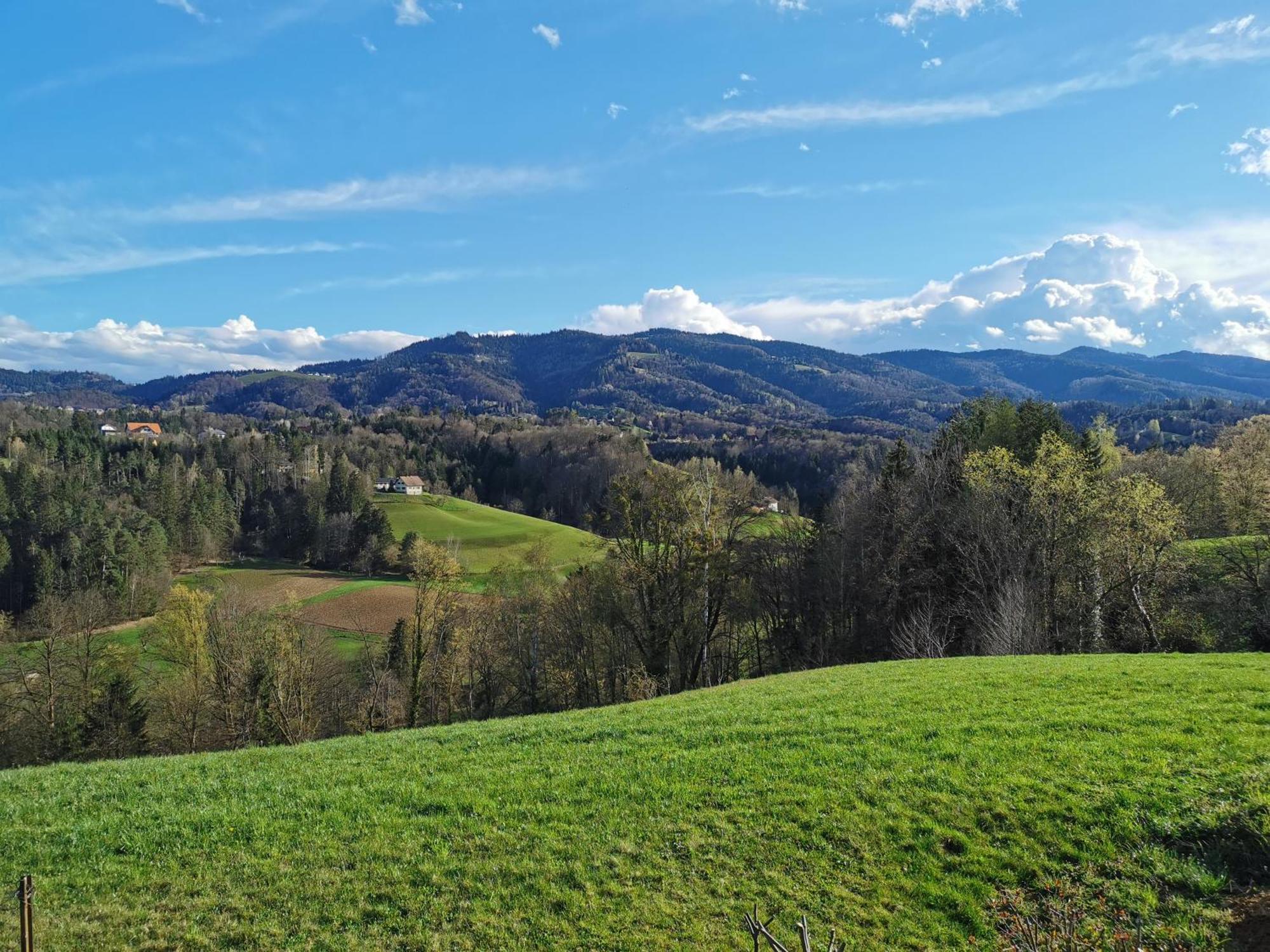 Traumhaftes Ferienhaus Am Lateinberg - 8455 Eibiswald Suedsteiermark Luaran gambar